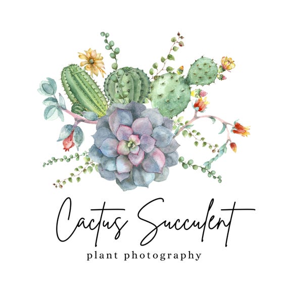 watercolor succulent logo Editable Canva DIY Logo Cactus Succulent Logo Stars Shopify Home Decor  Organic Boho Hippie Plant Simple Minimalistic Yoga Clothing Boutique