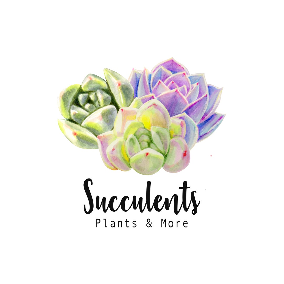 logo succulent Succulents Logo Plants Shopify Home Decor Organic Photography Boho Hippie  Simple Minimalistic Watercolor Yoga Clothing Jewelry Boutique Blog