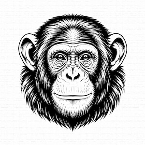 Könnte beinhalten: Eine schwarz-weiße grafische Illustration eines Schimpansenkopfes in Frontalansicht. Das Kunstwerk zeigt detaillierte Linienführung, die die Gesichtszüge des Primaten einfängt, einschließlich ausdrucksstarker Augen, einer flachen Nase und strukturiertem Fell.