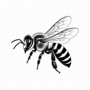 Puede incluir: Una ilustración de arte lineal en blanco y negro de una abeja melífera en perfil. La abeja presenta alas detalladas con venación visible, un tórax peludo y un abdomen rayado. El dibujo utiliza trazos de tinta de alto contraste.