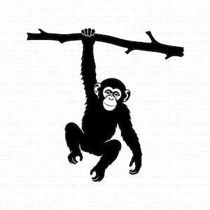 Pode incluir: Um gráfico de silhueta preta de um chimpanzé pendurado num galho de árvore horizontal. O chimpanzé é retratado com um braço estendido para cima, agarrando o galho, enquanto o seu corpo e membros pendem para baixo numa postura natural.