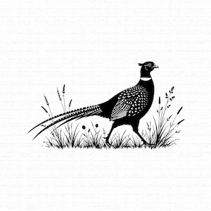 Archivo SVG de faisán, PNG de faisán de caza para sublimación, archivo de corte de aves de caza silvestres para Cricut, gráfico para exteriores, descarga instantánea.