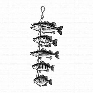Könnte beinhalten: Eine schwarz-weiße Strichzeichnung von fünf verschiedenen Fischarten, die vertikal an einem Metall-Fischhälter hängen. Die Fische sind in einem detaillierten, geätzten Stil dargestellt und zeigen verschiedene Schuppen, Flossen und Muster.