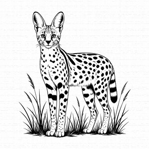 Pode incluir: Uma ilustração de arte linear em preto e branco de um serval em pé na grama alta. O felino apresenta orelhas grandes e eretas, um corpo esguio e uma pelagem coberta por manchas escuras distintas. A cauda é curta com faixas escuras na ponta.