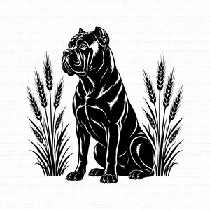 May include: A black and white graphic illustration of a Cane Corso dog sitting in a profile position. The dog is flanked on both sides by stalks of wheat. The design features high-contrast black ink lines against a plain white background.