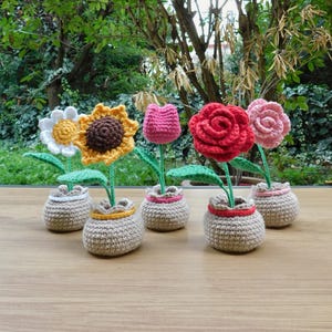 Puede incluir: Un conjunto de cinco flores de ganchillo en macetas individuales de hilo beige. El set incluye una margarita blanca, un girasol amarillo, un tulipán rosa, una rosa roja y una rosa rosa claro, con tallos y hojas verdes de hilo.