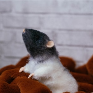 May include: A small, realistic needle-felted rat figurine with a dark charcoal-gray head and a white body. The rat has small, light-colored ears, a pointed nose, and tiny pale paws visible as it stands upright, showcasing a soft, textured appearance.