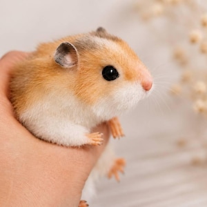 Könnte beinhalten: Eine realistische Hamsterfigur mit weichem, strukturiertem Fell in Goldbraun, Weiß und Grau. Das Miniatur-Nagetier hat eine rosa Nase, schwarze Augen, kleine abgerundete Ohren und winzige, detaillierte Pfoten, die mit großer Präzision gefertigt wurden.
