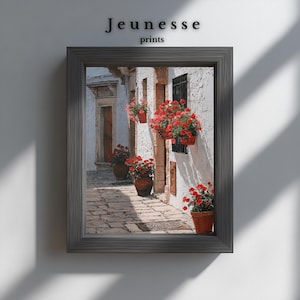 Red Flowers Clay Pots Street Oil Painting, Rustic White Stone Wall Art, Mediterranean Alleyway Poster, Digital Download