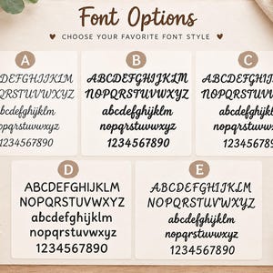 May include: A display of five distinct font options labeled A through E, each featuring the full uppercase and lowercase alphabet and the numbers 0 through 9 in black text on a white background, with the heading Font Options at the top.