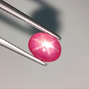 May include: A vibrant, oval-shaped cabochon star ruby with a distinct six-rayed asterism effect centered on its surface. The gemstone displays a deep, saturated pinkish-red hue and is held securely by a pair of metallic silver-toned tweezers.