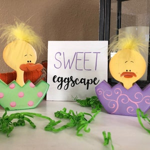 May include: Two wooden chick figurines, each with yellow feathers and a beak, are sitting in eggshells. One eggshell is green with pink polka dots, and the other is purple with pink swirls. A white sign behind the chicks reads "SWEET eggscape".