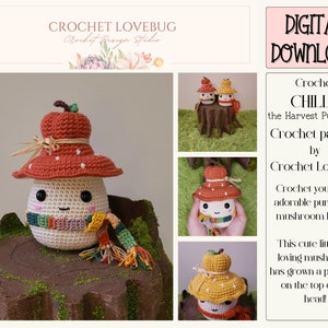 Crochet Mushroom Pumpkin Pattern - Crochet Fall Mushroom Pattern - Crochet Amigurumi Mushroom Pattern - Crochet Cute Mushroom Plush