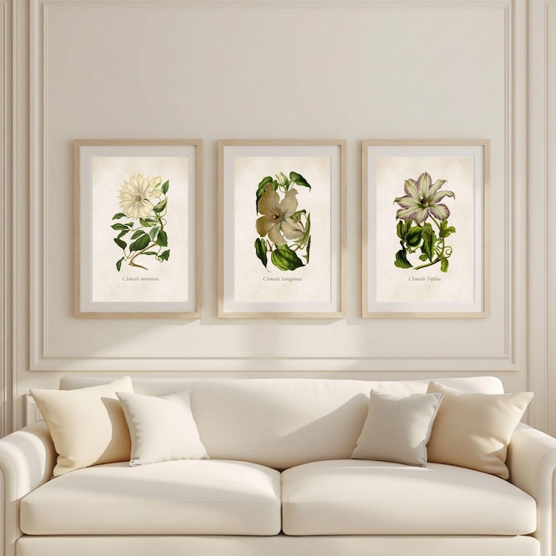 Set of 3 Vintage Clematis Prints – Antique Botanical Wall Art for a ...
