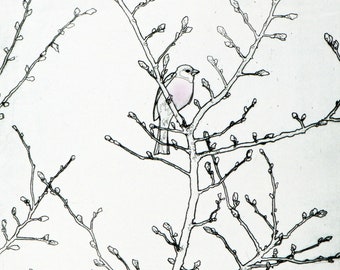 Chaffinch in Tree Drypoint Print Etching