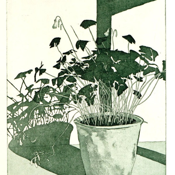 Oxalis Triangularis Etching - Original Hand Pulled Print by William White - Etching with Aquatint on Somerset Paper  - FREE SHIPPING