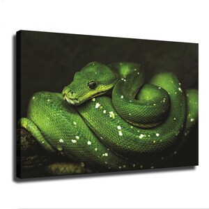 May include: A vibrant green snake coiled on a dark branch. The snake features a textured scale pattern with scattered white spots along its body and a distinct head with a dark eye, captured in a high-contrast, detailed wildlife photograph.