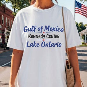 Comfort Colors® Vintage FDT Lake Ontario Kennedy Center Shirt, grappig protestshirt, anti-Trump, pro-democratisch activisme cadeau, subtiel FDT-shirt