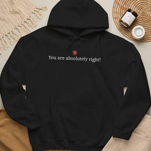 Claude Code Shirt Hoodie Sweatshirt, Comfort Colors Programmierer-Shirt, „Du hast absolut Recht“-Geschenkidee für Technikbegeisterte, Coding-Sweatshirt