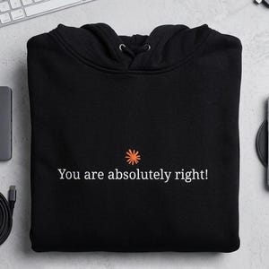 May include: A black hooded sweatshirt featuring a small orange sun icon centered above the white text "You are absolutely right!" printed on the chest. The garment includes a drawstring hood and long sleeves, presented in a flat, folded position.