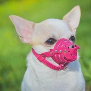 Museruola per cani di piccola taglia in vera pelle, regolabile e traspirante.