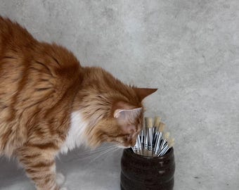 May include: A long-haired orange and white cat stands next to a dark brown, cylindrical ceramic container filled with a collection of small paintbrushes featuring light-colored bristles and silver metal ferrules with wooden handles.