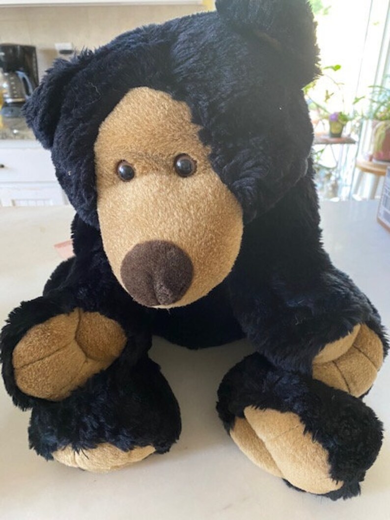 bear stuffy