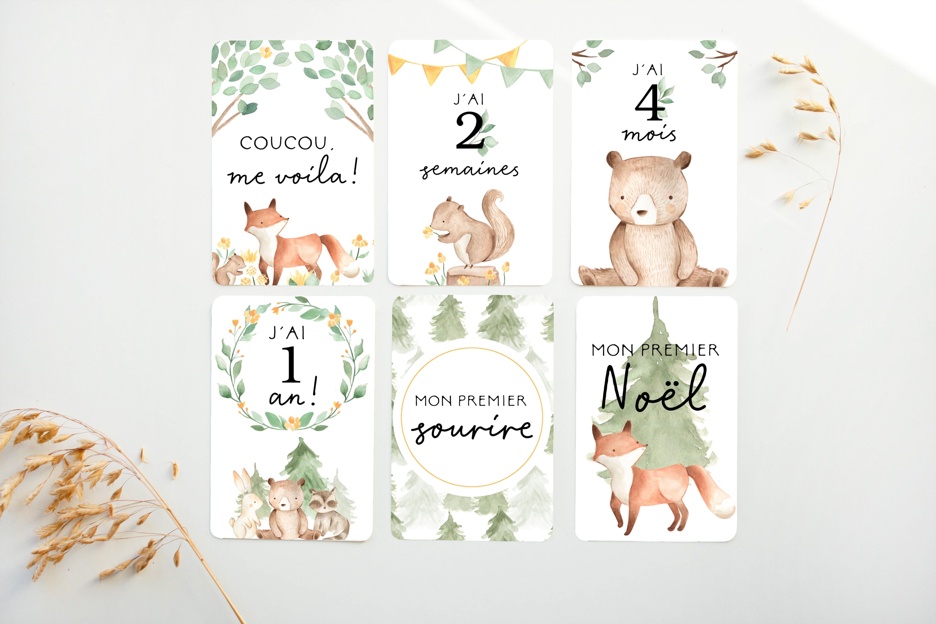 Cartes Etapes Cartes Etape Petite Enfance Petite Enfance Etsy Canada