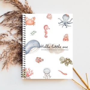 Baby book, New Baby Gift, Pregnancy Journal, New Mom gift, Nautical nursery, Baby Boy Nursery, Baby Shower Gift, Baby Boy Gift, C82A
