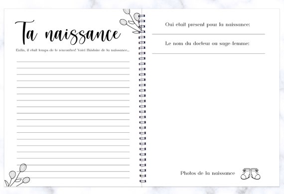 Journal De Grossesse, Album Grossesse, Livre De Grossesse, Cadeau Future  Maman, Cadeau De Naissance, Journal De Naissance, Grossesse, MG50F 