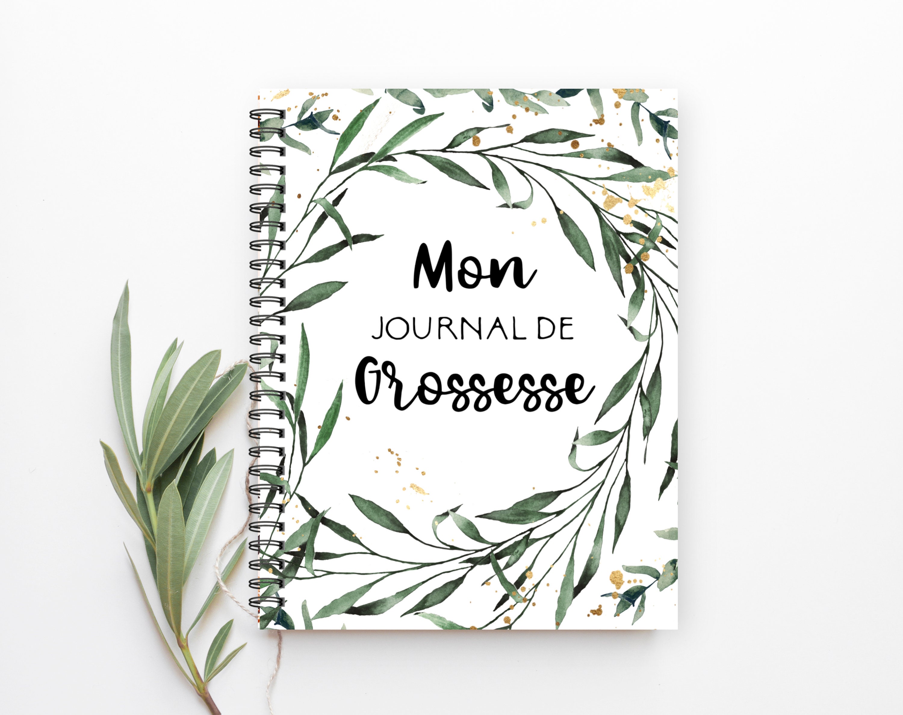 Mon journal de grossesse: MOM TO BE (French Edition)