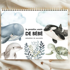 Calendrier de première année de bébé, livre souvenirs de bébé, livre de bébé, album de bébé, CALBB4