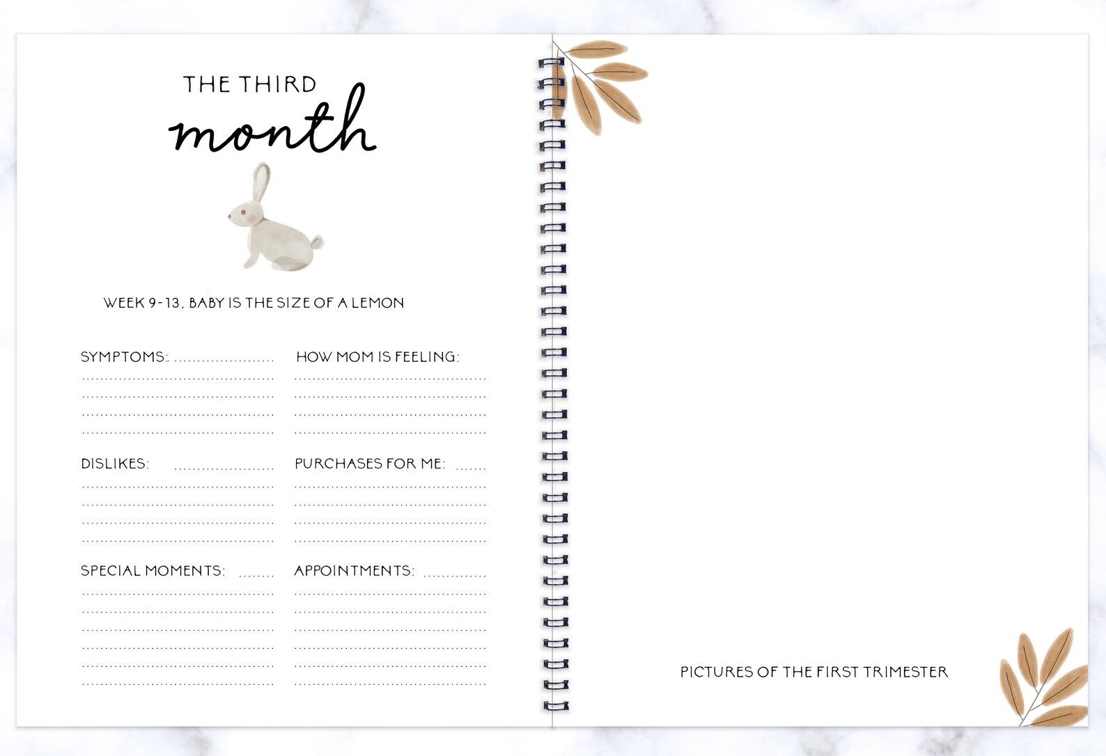 Baby Book Baby Shower Pregnancy Journal Baby Gift Baby Etsy