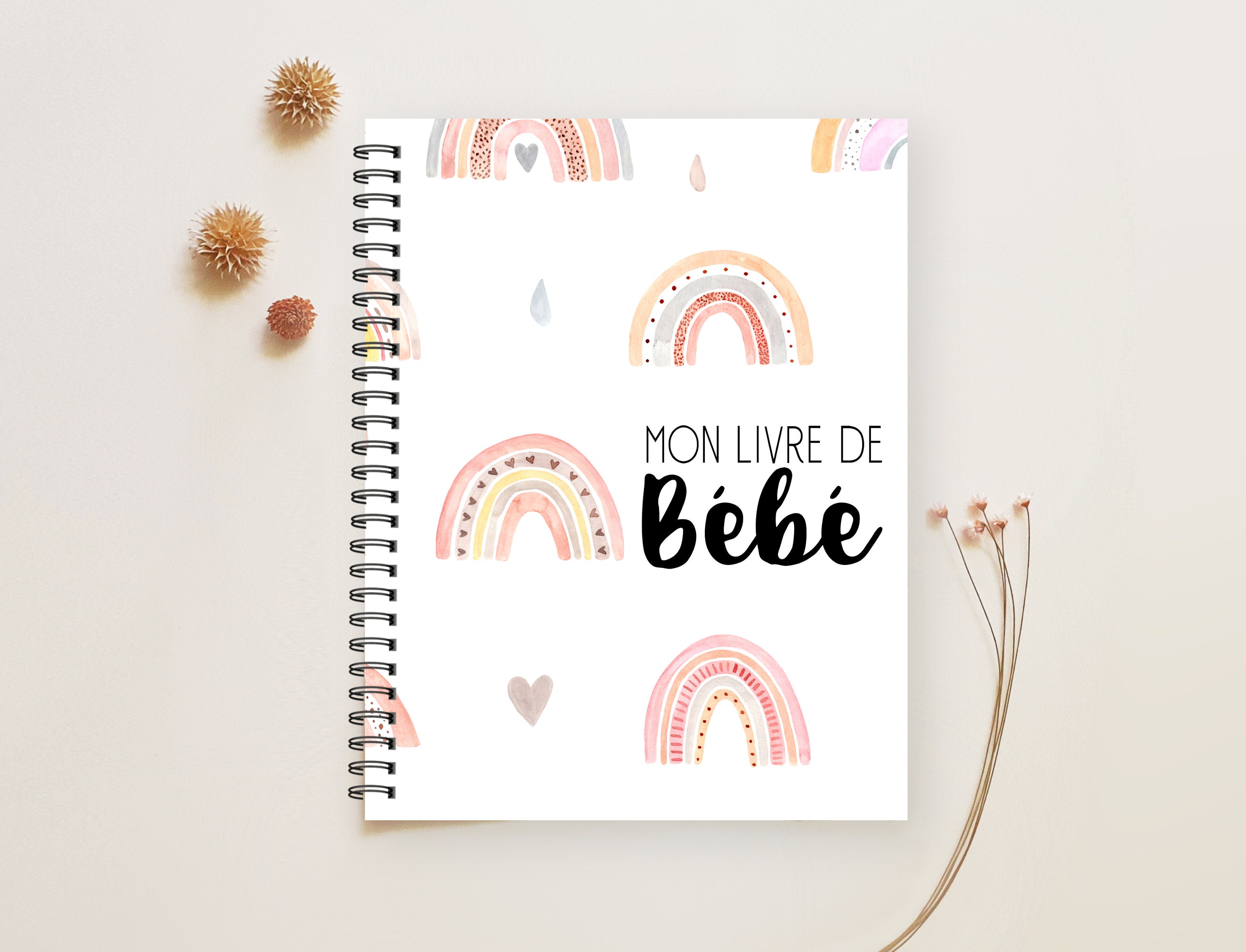 Journal De Bébé, Journal De Naissance, Livre De Bébé Fille, Livre De Bébé  Fleurs, Décor Bébé Fille, Décor Papillons, Papeterie, CP, BF55 