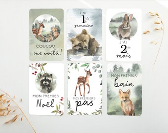 Cartes-étapes, Cartes étape petite enfance, petite enfance, cadeau pour maman, papeterie bébé, cadeau grossesse, jalons cards, BE12, CP
