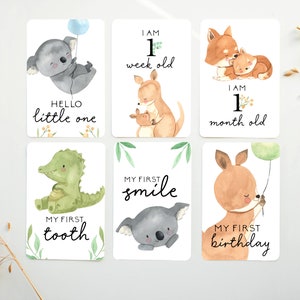 Cartes jalons, cartes premier mois, cartes mensuelles, première année de bébé, premiers mois de bébé, cadeau de baby shower, ETA1