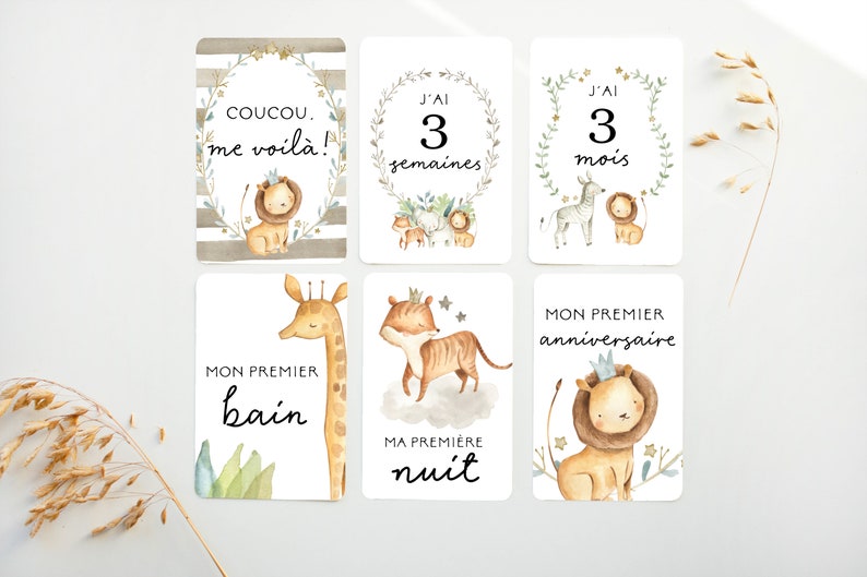Cartes-étapes, Cartes étape petite enfance, petite enfance, cadeau pour maman, papeterie bébé, cadeau grossesse, jalons cards, BE9 image 1