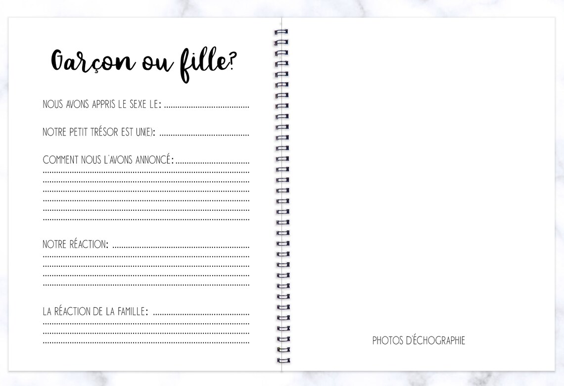 Journal de Grossesse à Offrir Livre Grossesse de Luxe pour - France