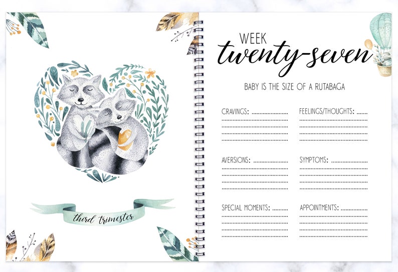 Pregnancy Journal Pregnancy Photo Book Pregnancy Gift Baby Etsy