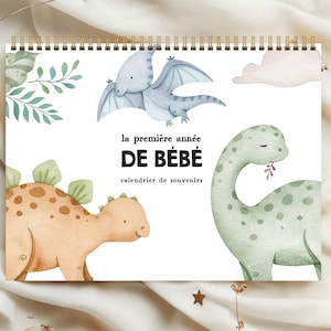 Calendrier de première année de bébé, livre souvenirs de bébé, livre de bébé, album de bébé, CALBB5
