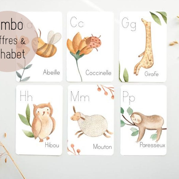 Alphabet, Cartes éclairs, Cartes de l'alphabet, décoration chambre de bébé, salle de jeux, Cartes éclairs chiffres, apprentissage bébé