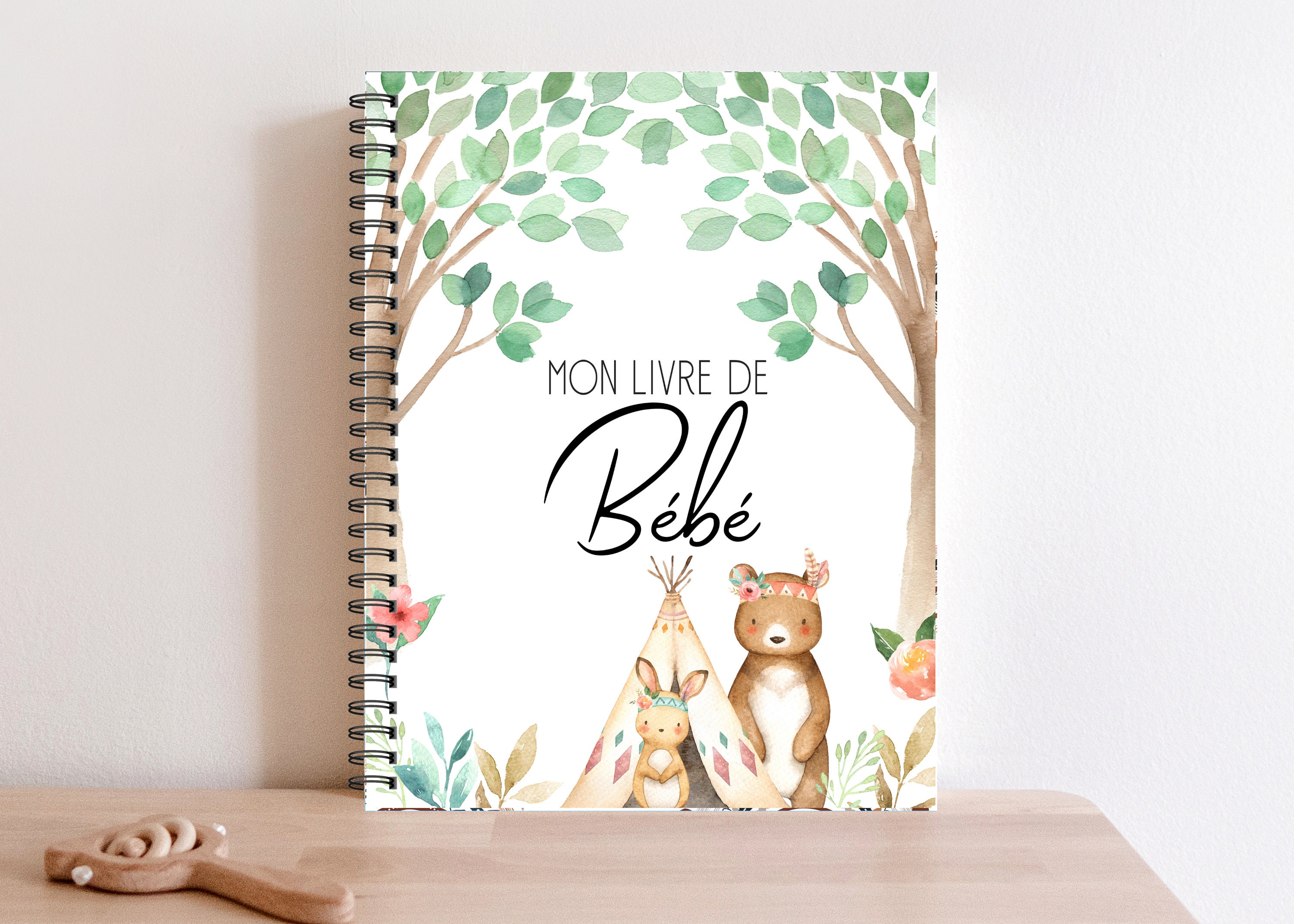 Livre de Bébé, Journal Bébé, Journal de Grossesse, Cadeau pour Future  Maman, Cadeau de Naissance bébé fille, Livre de Naissance, BF6 -  Canada