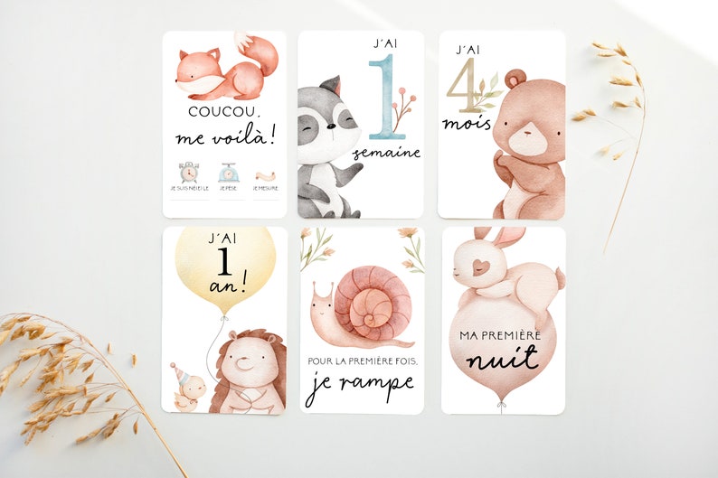 Cartes-étapes, Cartes étape petite enfance, petite enfance, cadeau pour maman, papeterie bébé, cadeau grossesse, jalons cards, BE21 image 1