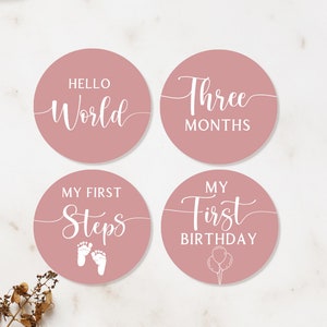 Cartes jalons, cartes premier mois, cartes mensuelles pour bébé, première année de bébé, premiers mois de bébé, cadeau de baby shower, CR6PA