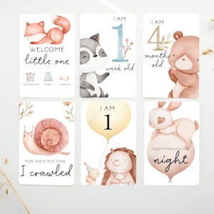 Cartes jalons, cartes premier mois, cartes mensuelles, première année de bébé, premiers mois de bébé, cadeau de baby shower, ETA21A