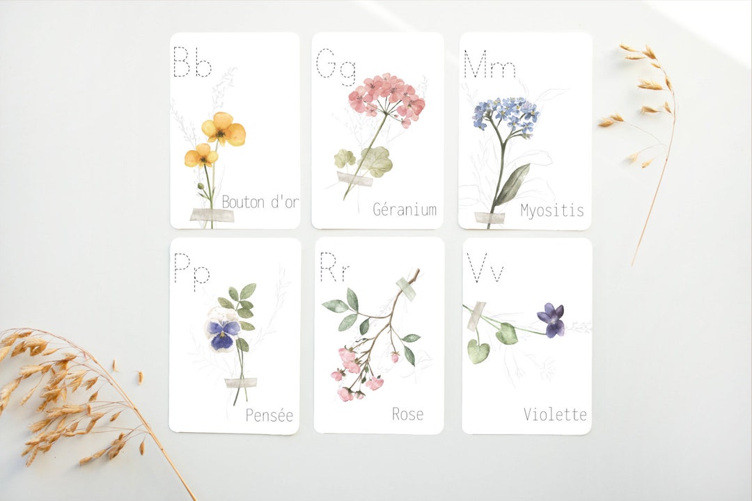 Fleurs, Cartes éclairs, Carte De L'alphabet, Décoration Chambre De Bébé ...