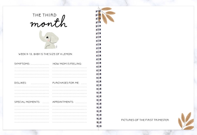 Baby Book Baby Journal Pregnancy Planner Pregnancy Journal Etsy