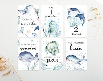 Cartes-étapes, Cartes étape petite enfance, petite enfance, cadeau pour maman, papeterie bébé, cadeau grossesse, milestones cards, BE13