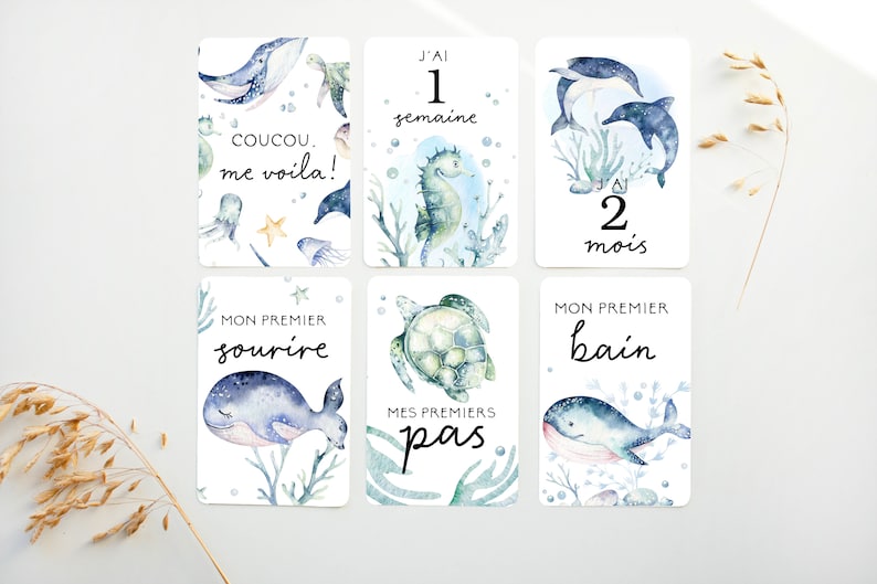 Cartes-étapes, Cartes étape petite enfance, petite enfance, cadeau pour maman, papeterie bébé, cadeau grossesse, jalons cards, BE13 image 1