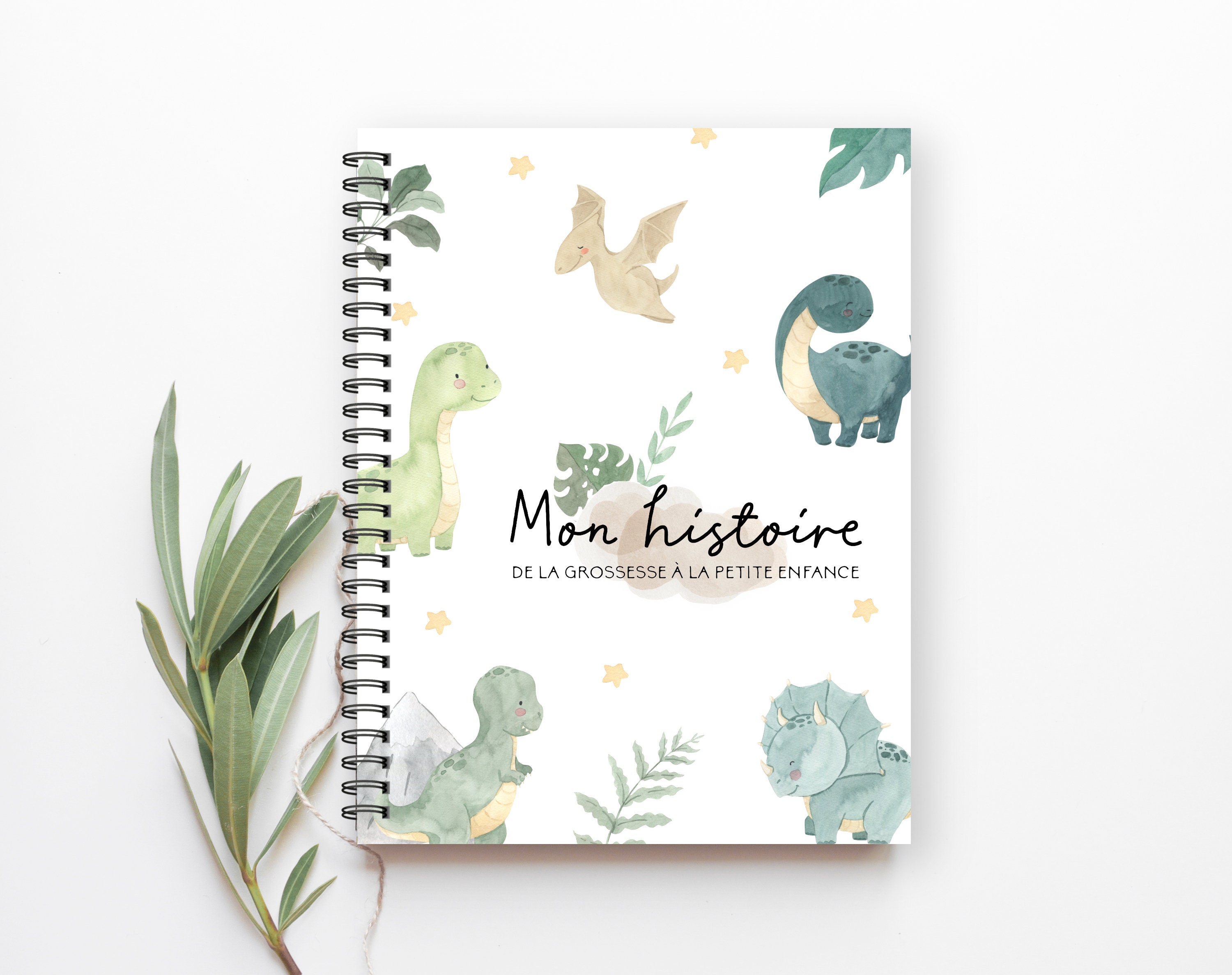 Livre De Bebe Journal De Bebe Dinosaures Livre De Naissance Livre De Petite Enfance Journal De Grossesse Journal De Grossesse C36